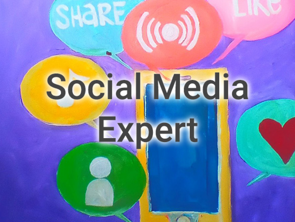 Social Media ExpertL