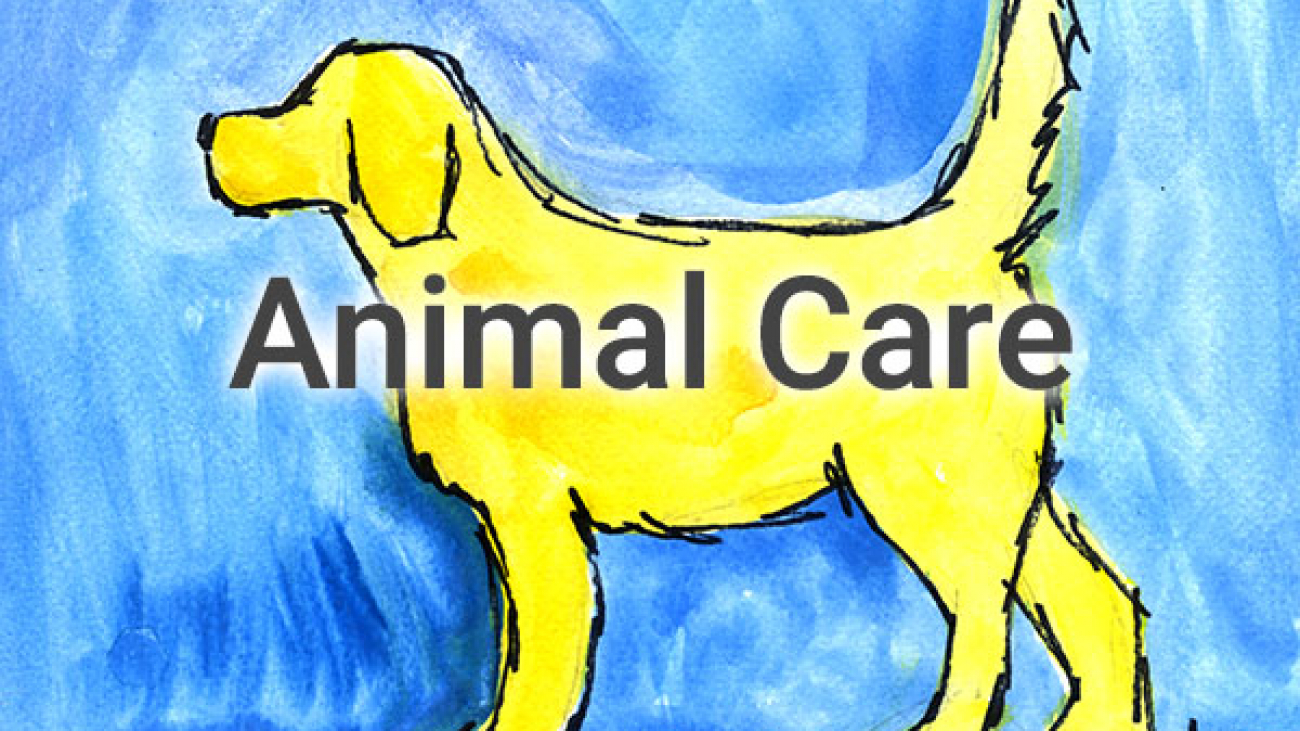 AnimalCare