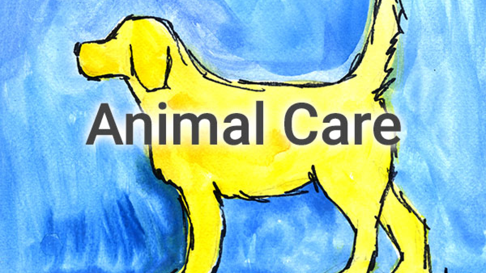 AnimalCare