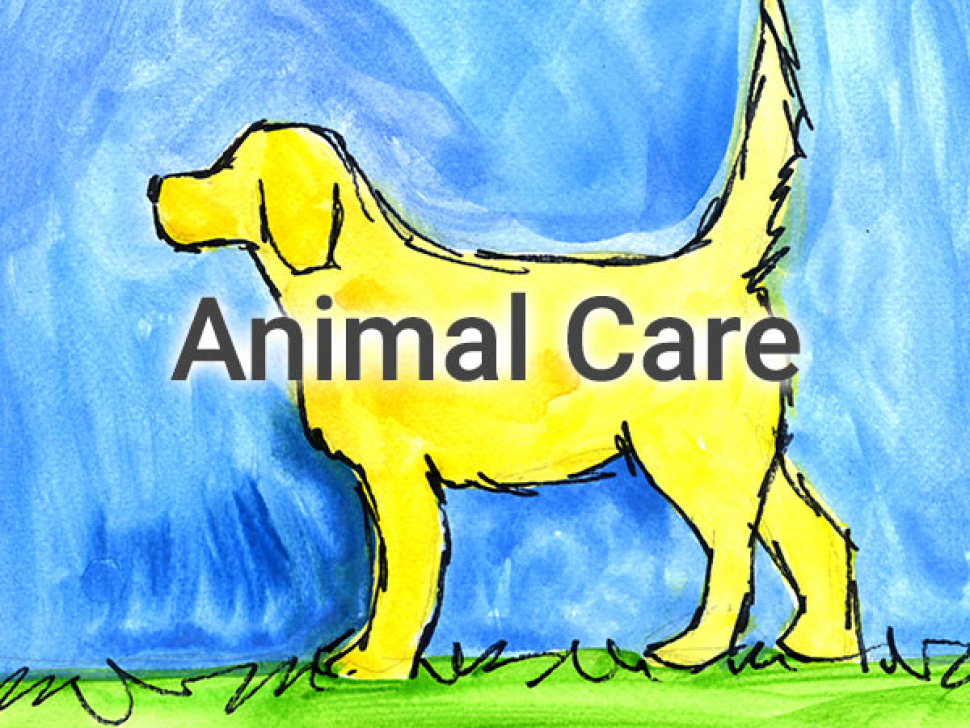 AnimalCare